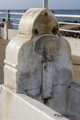 ÎLE SAINTE-MARGUERITE-4