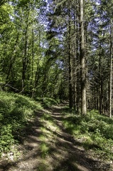 ROCHE DE SOLUTRÉ-43