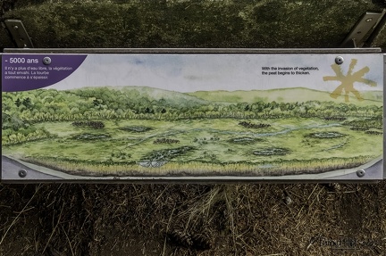 TOURBIÈRE DE LONGEYROUX-92