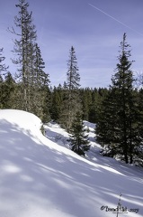 IMG 5868
